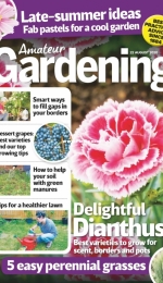 Amateur Gardening - 22 August 2020