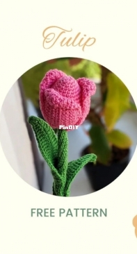 Twingurumi - Tulip - Free