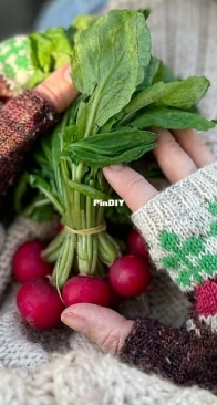 Rad Radish Mitts by Charlotte Stone - Stone Knits