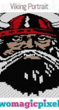 Two Magic Pixels - Viking Portrait