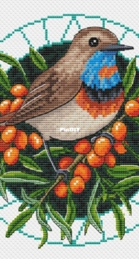 Bluethroat by Arina Kerhanidi