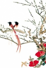 KEC - F02 - Plum and birds XSD + PCS
