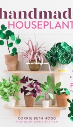 Handmade Houseplants by Corrie Beth Hogg