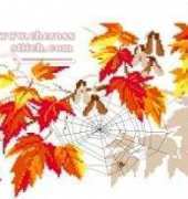 Riolis 634 autumn