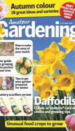 Amateur Gardening - 03 October 2020