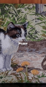 Cat/Kitten with duck - Encounter