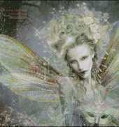 HAED HAEMAG 54 Fairy Godmother by Maxine Gadd XSD