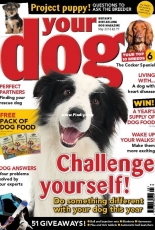 Your Dog - May 2018