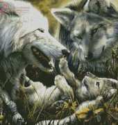Shinysun - Wolves Family