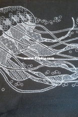 Jellyfish