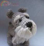 Cute and Kaboodle - Justyna Kacprzak - Schnauzer