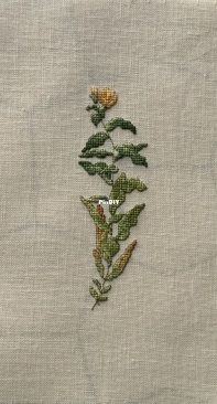 Marie Barber, Primrose