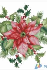 Lkacross - Poinsettia by Irina Katz