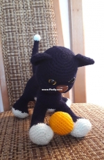 Midnight cat