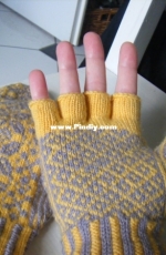 Mittens to Order by Diane Mulholland-Free