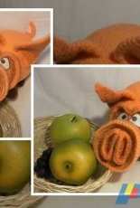 pig