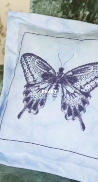 Bold and Beautiful -  Butterfly Cushion by Maria Diaz from Cross Stitch Gold 112 XSD