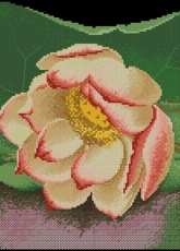 KEC Cross Stitch H221 - Lotus