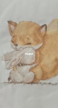 Rabbit and fox