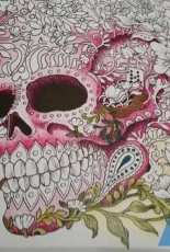 Coloring for adults