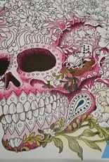 Coloring for adults