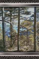 Grans Stitch Niche - Coniferous Forest - Free
