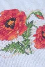 Dimensions Poppy pair