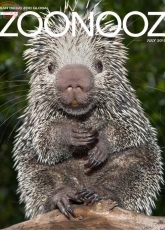 Zoonooz-San Diego Zoo Global-July-2015