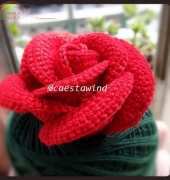 Valentines Collection - Roses