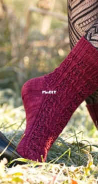 Cynarea Socks by Patti Waters