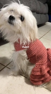 Elasha Jackwitz - Winter Dog Dress Pattern