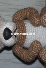 bear