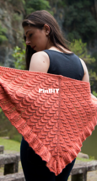 Xale Inspiração/Shawl Inspiration by Iris Alessi - Flor de Iris - English, Portuguese - Free