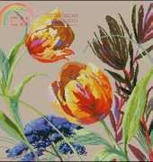 Anchor Maia 5678000-01044 - Close to you