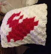 C2C practice project