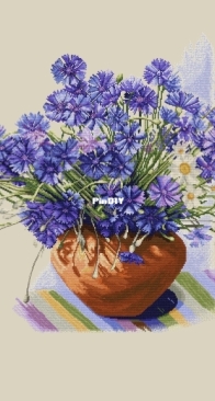 Cornflowers illuminated by the sun by Olga Ryazantseva SAGA