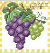 DOME 220802 Grapes on Vine