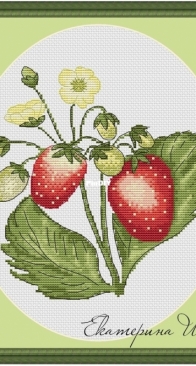 Strawberry by Ekaterina Sharaya