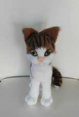 cat grey