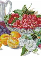 Alisa 5-10 - Apricots and Raspberries
