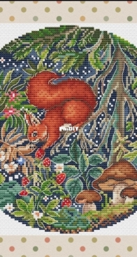 The Tale of the Squirrel by Karina Karry