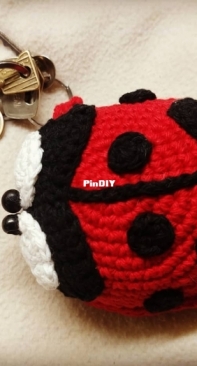 A new ladybug