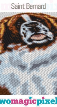 Two Magic Pixels -  Saint Bernard