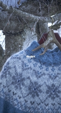 Brasvelbreen Sweater by Feli Frei-English, German -FREE