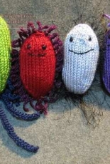 Loxosceles-Knitted Bacteria-Free