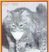 Mystic Stitch - CAT-18 Happy Hour
