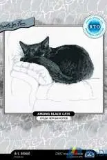 RTO M668 Among Black Cats