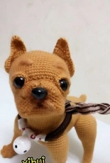 French bulldog