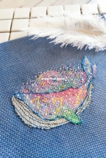 The constellation whales
