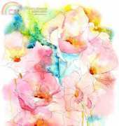 HAED HAEJOL 104 PK Poppies by Jo Lynch